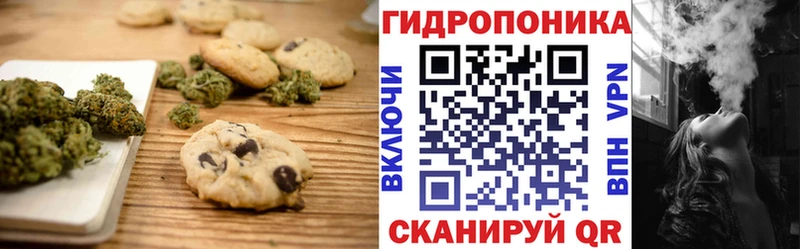 blacksprut рабочий сайт  Грязи  Cannafood марихуана 