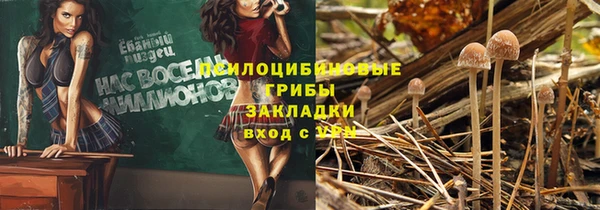 СК Тында