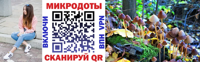 Галлюциногенные грибы GOLDEN TEACHER  Грязи 