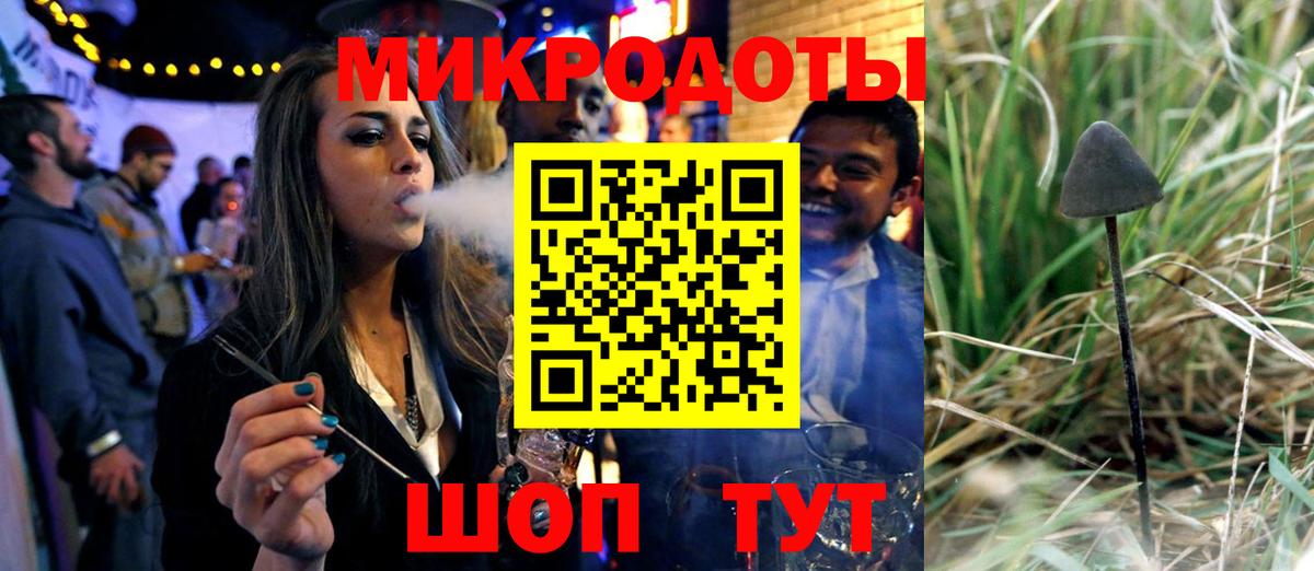 Псилоцибиновые грибы Cubensis  Вход с VPN  Грязи 